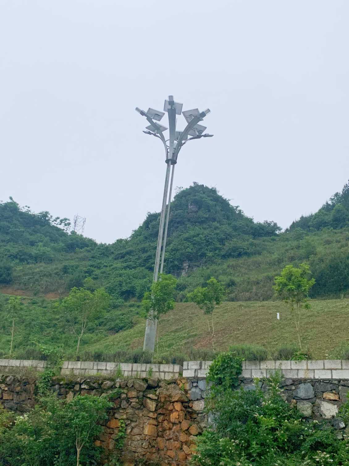 贵州德江花海
