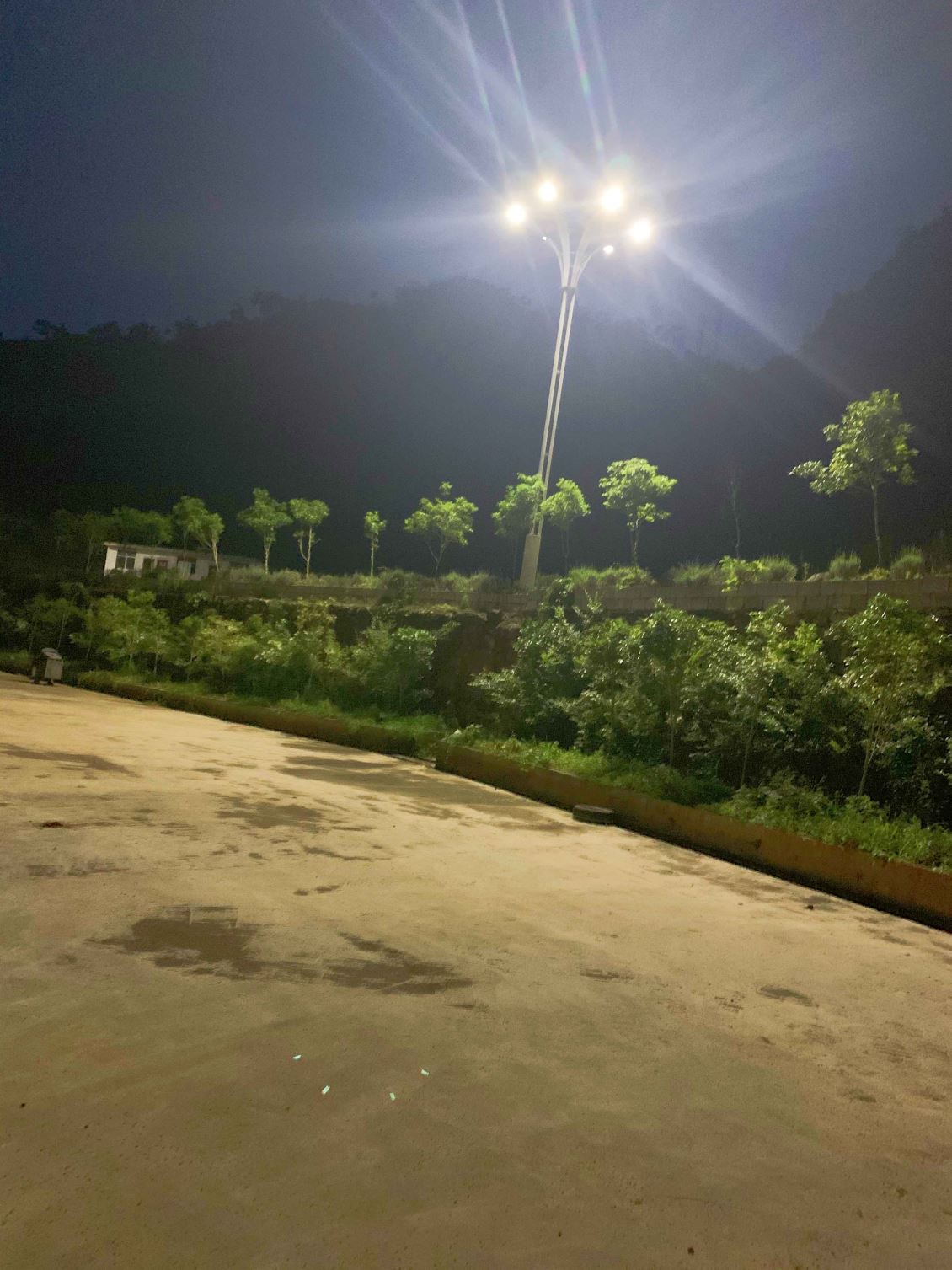 贵州德江花海